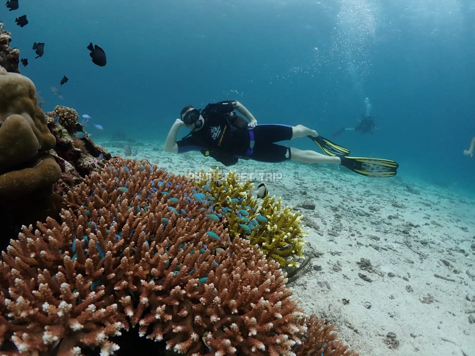 Дайвинг на Пхукете